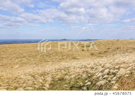 済州島 韓国 屋外 45678075
