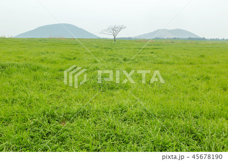 済州島 韓国 屋外 45678190