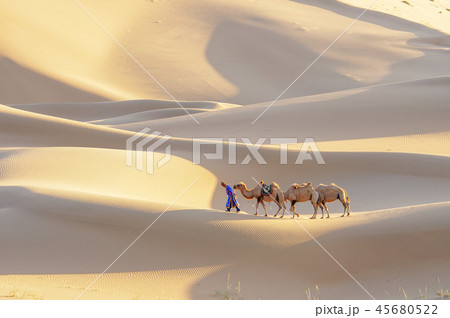 海外 旅行 スポット 45680522