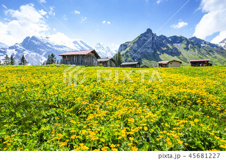 海外 旅行 スポット 45681227