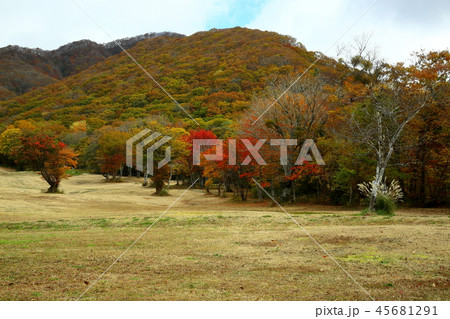 秋の大山スキ-場 秋の大山スキ-場 45681291
