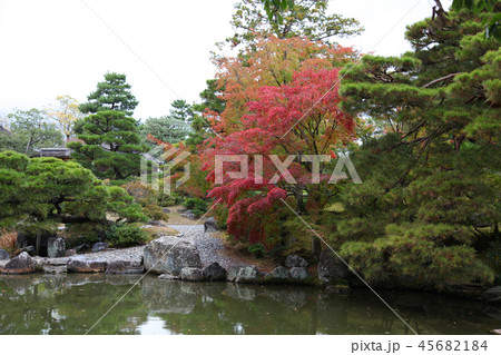 桂離宮　紅葉 45682184