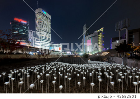 Lit LED Rose Garden at the Dongdaemun in Seoul 45682801
