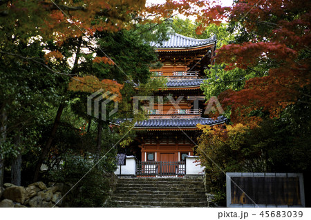 岡山宝福寺　 45683039