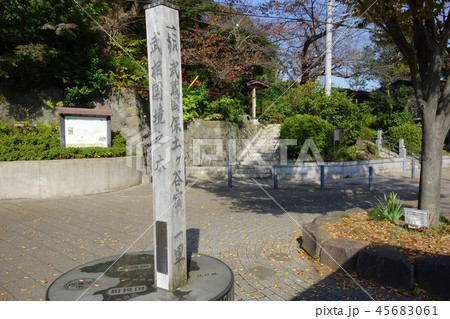 武相国境之木 45683061