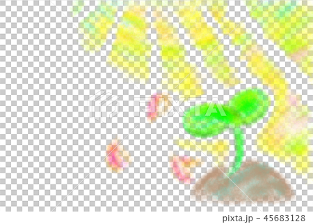 發芽在春天陽光下的生活的圖像例證。 45683128
