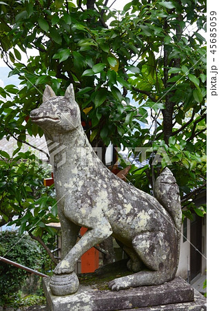 若宮稲荷神社のキツネの像（亀山社中 付近／長崎県長崎市伊良林2丁目） 45685059