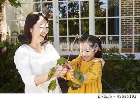 家族 ファミリー 木の枝 45685192