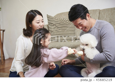 家族 ファミリー 犬 45685219