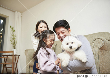家族 ファミリー 犬 45685246
