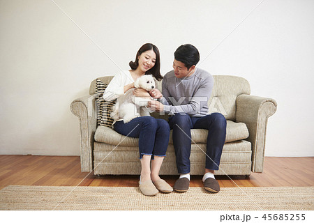 家族 ファミリー 犬 45685255