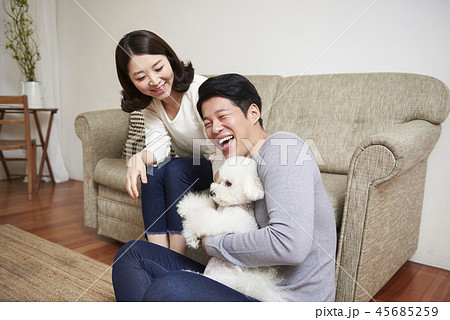 犬 子犬 本 45685259