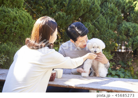 家族 ファミリー 犬 45685273