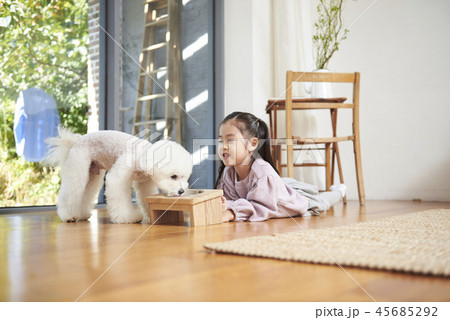 犬 子犬 本 45685292