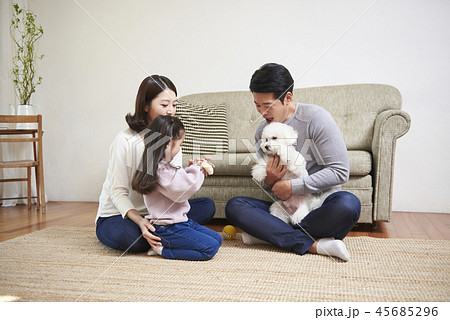 家族 ファミリー 犬 45685296