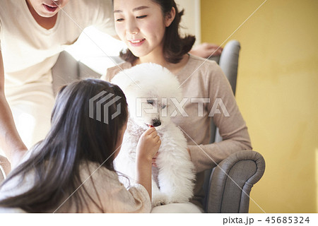 家族 ファミリー 犬 45685324