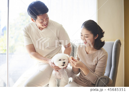 犬 子犬 本 45685351