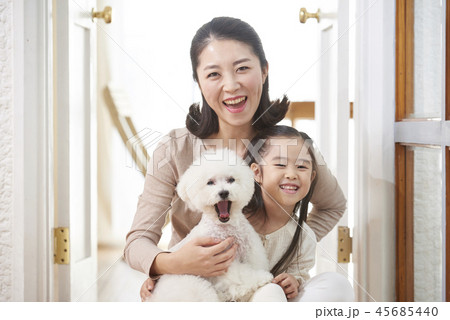 家族 ファミリー 犬 45685440