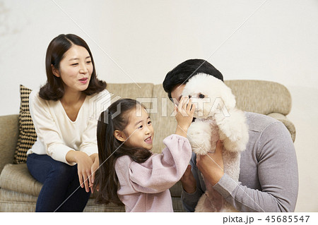 家族 ファミリー 犬 45685547