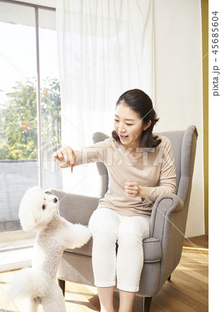犬 子犬 餌 45685604