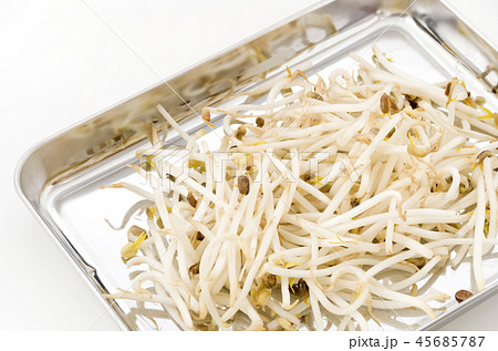 もやし 45685787