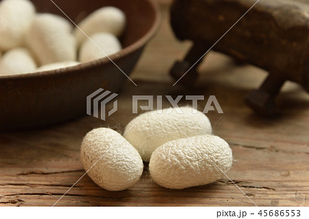 繭玉 繭玉 45686553