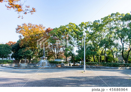 元住吉・中原平和公園 45686964