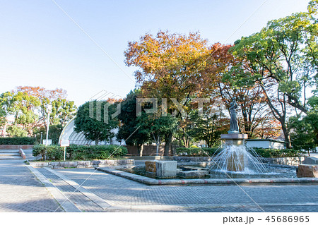 元住吉・中原平和公園 45686965