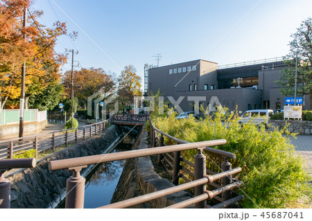 元住吉・中原平和公園 元住吉・中原平和公園 45687041