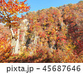 紅葉　秋　風景　背景 45687646