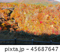 紅葉　秋　風景　背景 45687647
