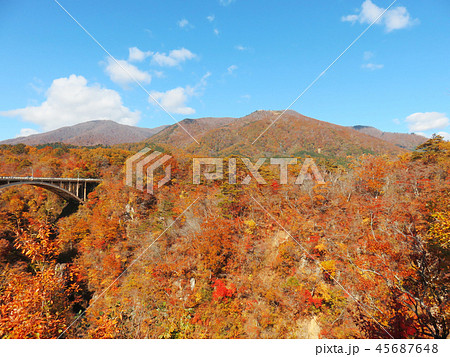 紅葉 秋 風景 背景 紅葉 秋 風景 背景 45687648