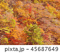 紅葉　秋　風景　背景 45687649