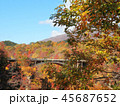 紅葉　秋　風景　背景 45687652