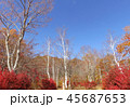 紅葉　秋　風景　背景 45687653