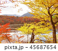 紅葉　秋　風景　背景 45687654