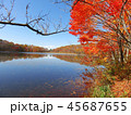 紅葉　秋　風景　背景 45687655