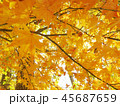 紅葉　秋　風景　背景 45687659