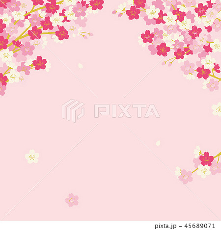 桜の木 背景のイラスト素材
