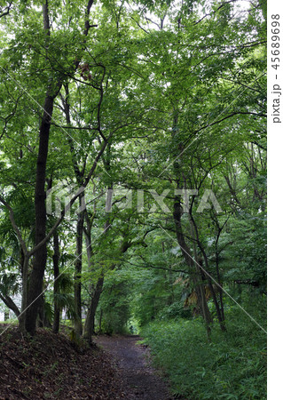 八国山緑地 八国山緑地 45689698