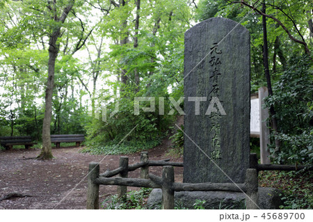 八国山緑地 元弘青石塔婆所在跡 八国山緑地 元弘青石塔婆所在跡 45689700