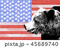 bear on the background of the American flag 45689740