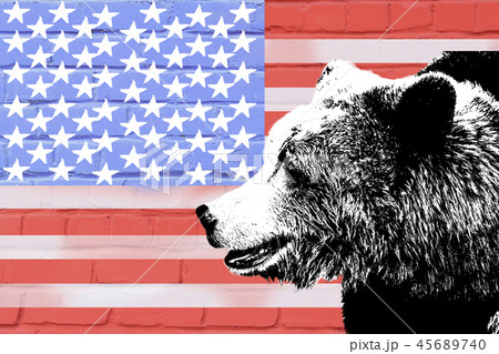 bear on the background of the American flag 45689740