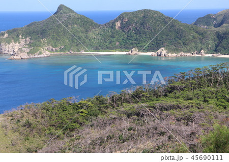 沖縄県 島尻郡 座間味島 離島 沖縄観光 沖縄旅行 自然 のんびり おきなわ のどか 沖縄県 島尻郡 座間味島 離島 沖縄観光 沖縄旅行 自然 のんびり おきなわ のどか 45690111