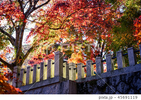 永源寺　もみじ寺 45691119