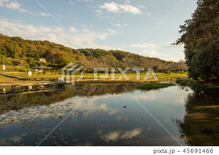 厳島湿生公園 45691466