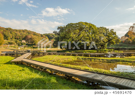 厳島湿生公園 45691470