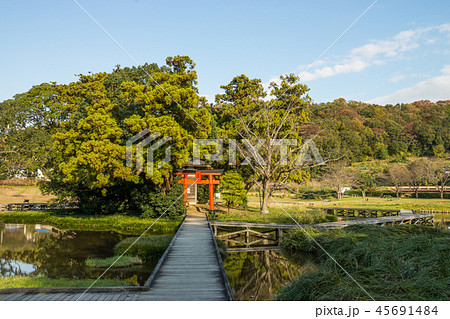 厳島湿生公園 45691484