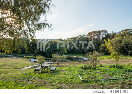 厳島湿生公園 45691495