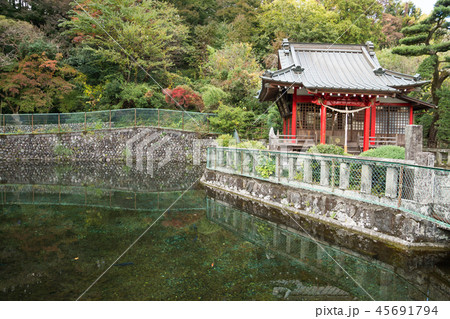 清左衛門地獄池湧水の写真素材